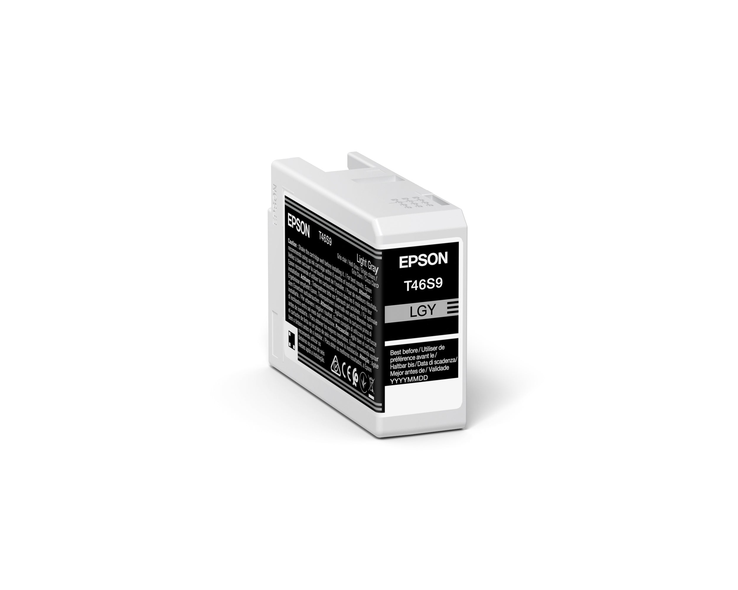 Epson UltraChrome Pro cartuccia d'inchiostro 1 pz Originale Grigio chiaro