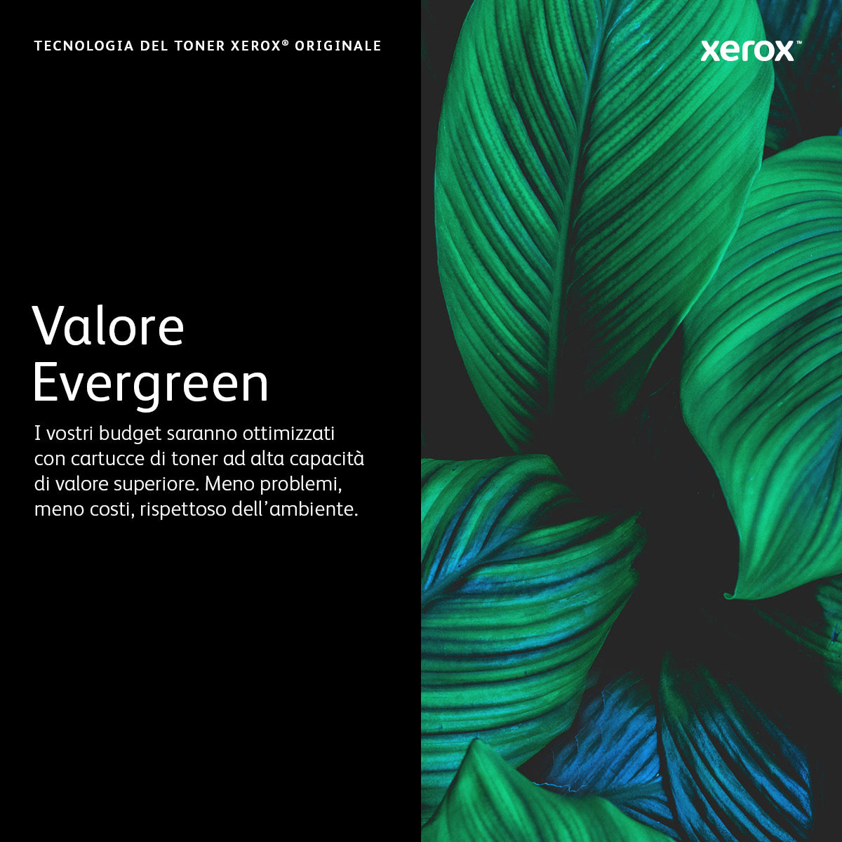 Xerox VersaLink C50X Cartuccia fotoricettore magenta (40,000 pagine)