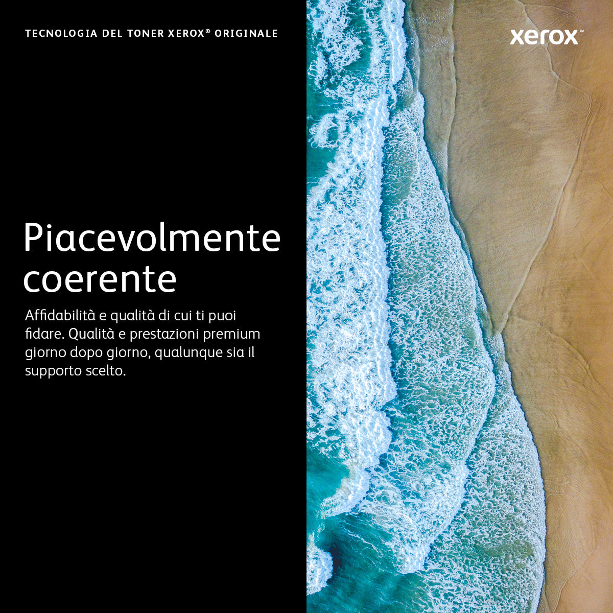 Xerox VersaLink C50X Cartuccia fotoricettore magenta (40,000 pagine)