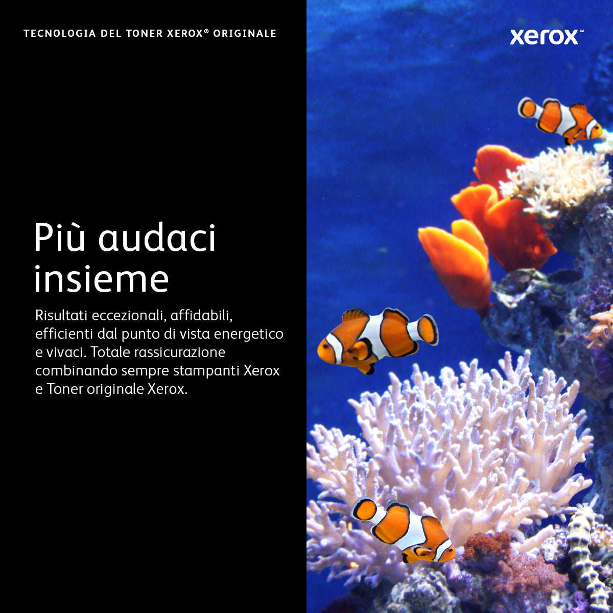 Xerox VersaLink C50X Cartuccia fotoricettore nero (40,000 pagine)