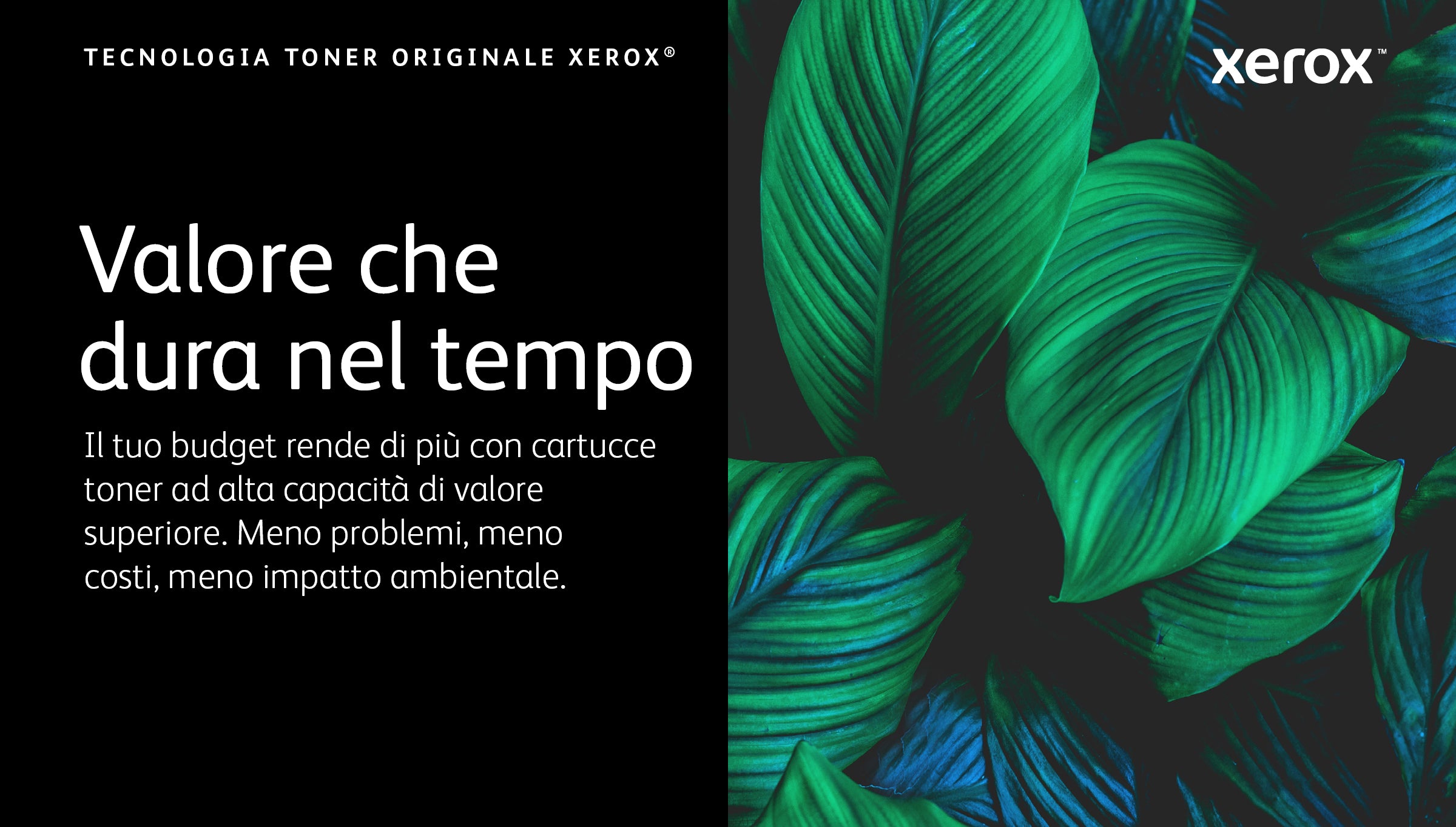 Xerox Cartuccia toner Ciano a Capacità standard da 2500 Pagine per Stampante a colori ® VersaLink® C400/multifunzione a colori ® VersaLink® C405 (106R03502)
