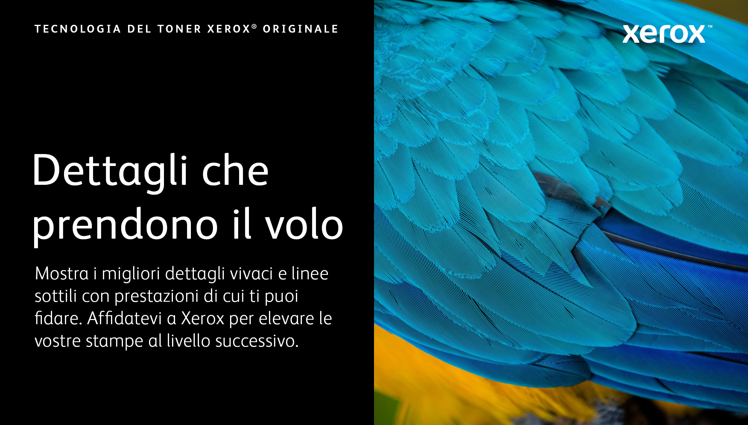 Xerox Cartuccia toner Magenta a Alta capacità da 5500 Pagine per Stampante a colori ® C320/multifunzione a colori ® C325 (006R04829)