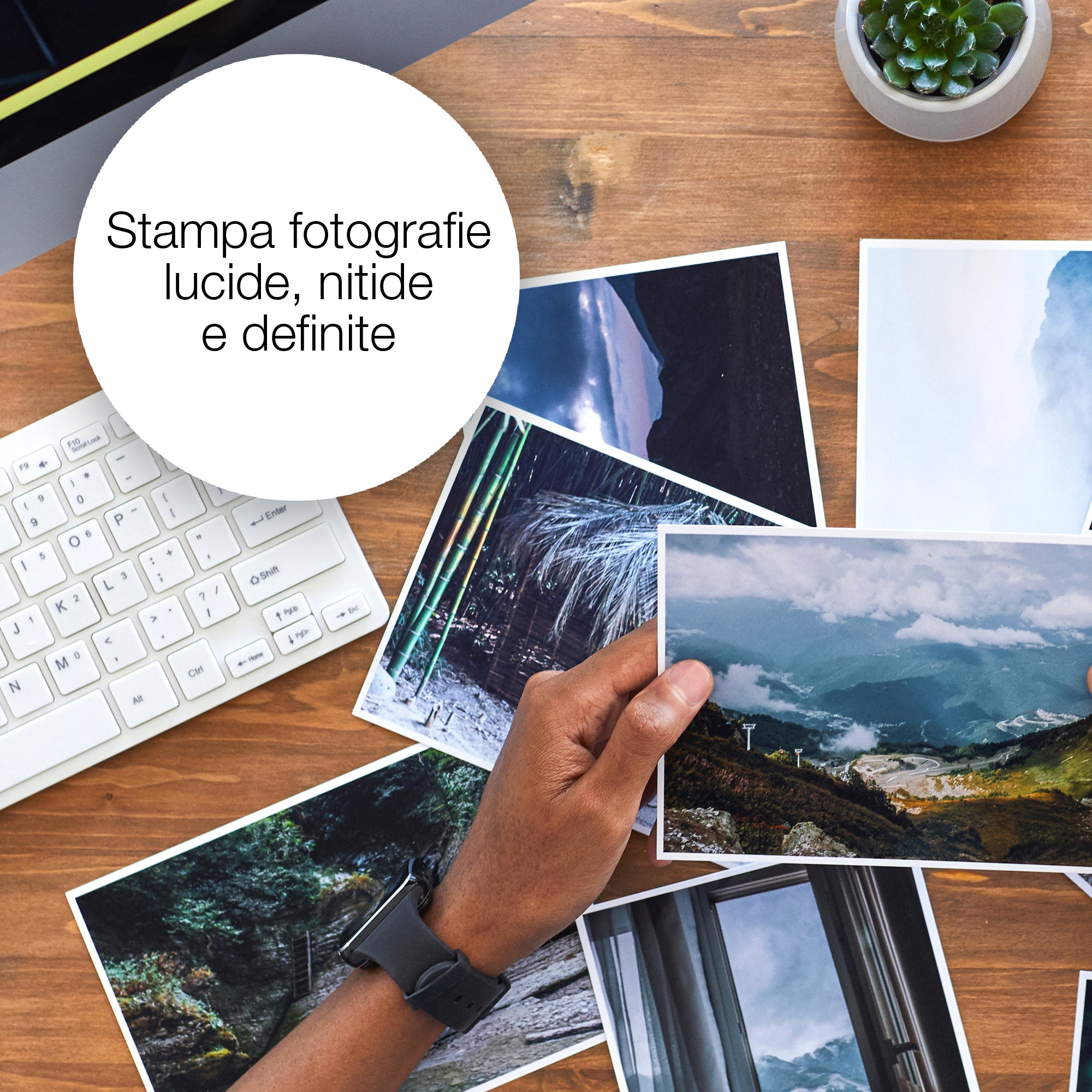 Epson Hummingbird Cartuccia Giallo