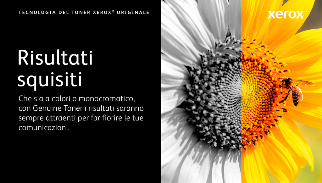 Xerox Cartuccia toner Ciano a Capacità standard da 1000 Pagine per Phaser® 6510, WorkCentre® 6515 (106R03473)