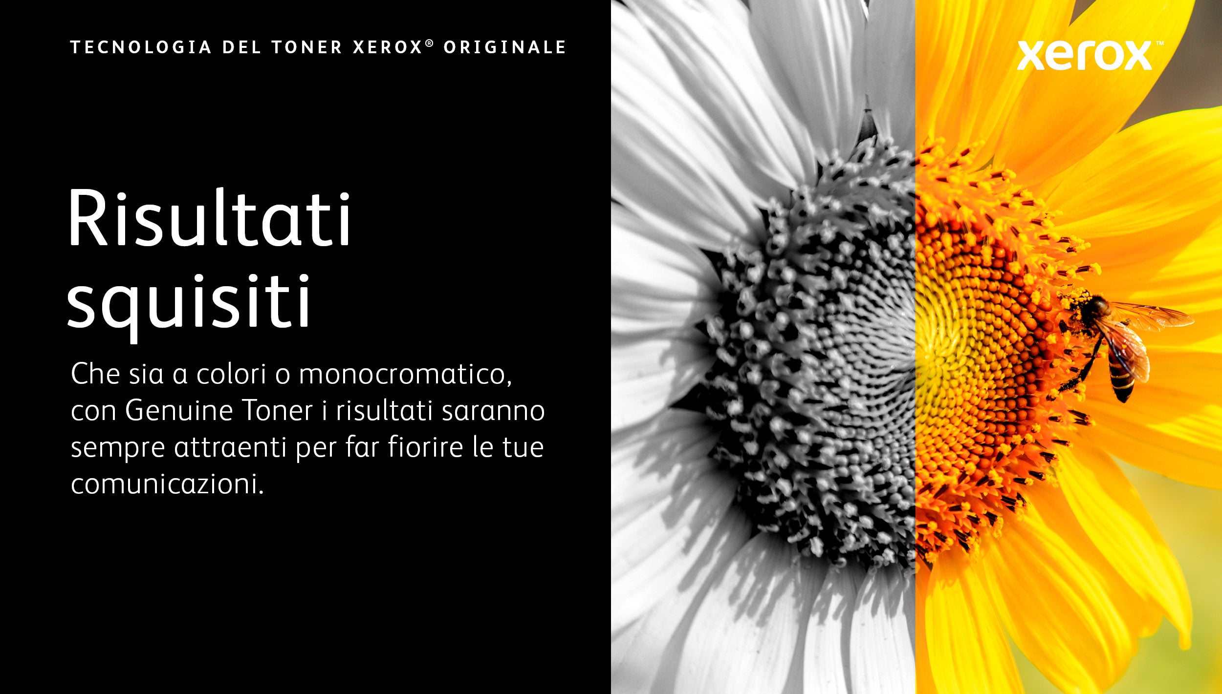 Xerox Cartuccia toner Nero a Capacità standard da 1200 Pagine per Stampante ® B230, Stampante multifunzione ® B225/ ® B235 (006R04399)